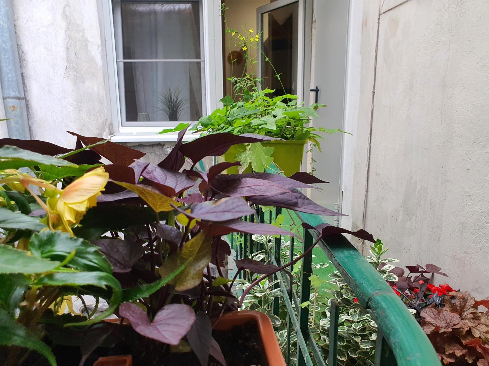Apartment Ok Lux Krakau